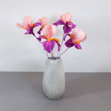 Bearded Iris flower - Brazen Botany