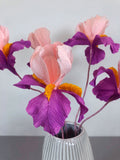 Bearded Iris flower - Brazen Botany