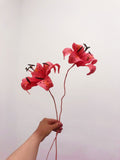 Tiger Lily Flower - Brazen Botany