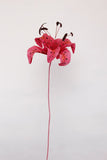Tiger Lily Flower - Brazen Botany