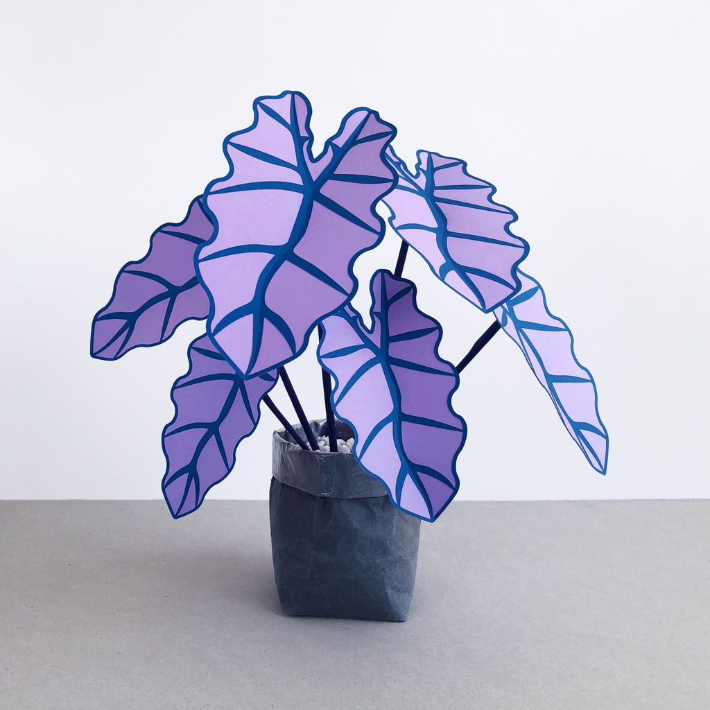 purple giant elephant ear plant Pink Elephant's Ear Plant | Handmade Plant