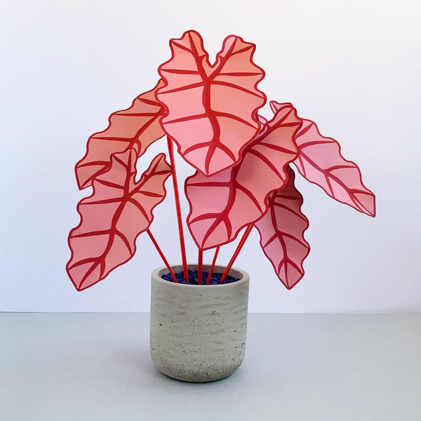 Pink Elephant's Ear Plant | Handmade Plant