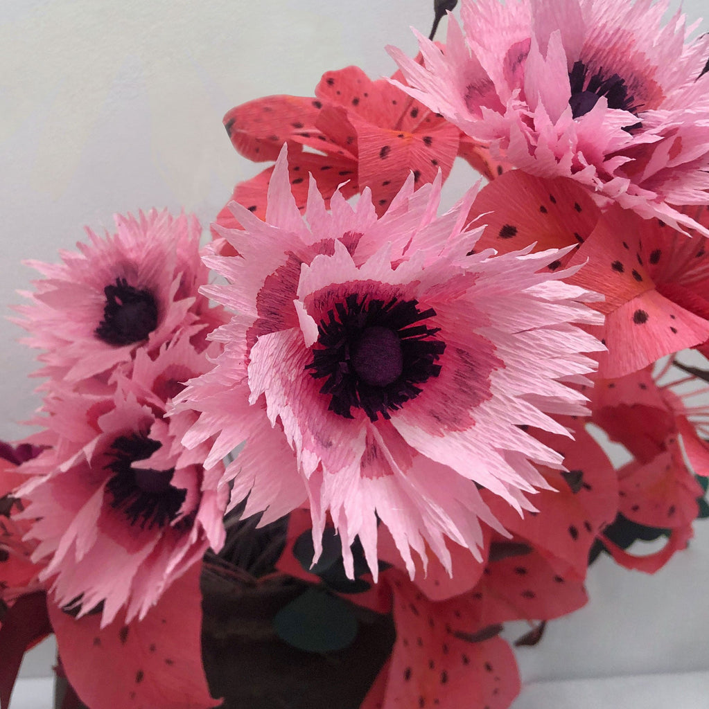 Small Ruffled Poppy Ruffle Poppy Flower – Brazen Botany