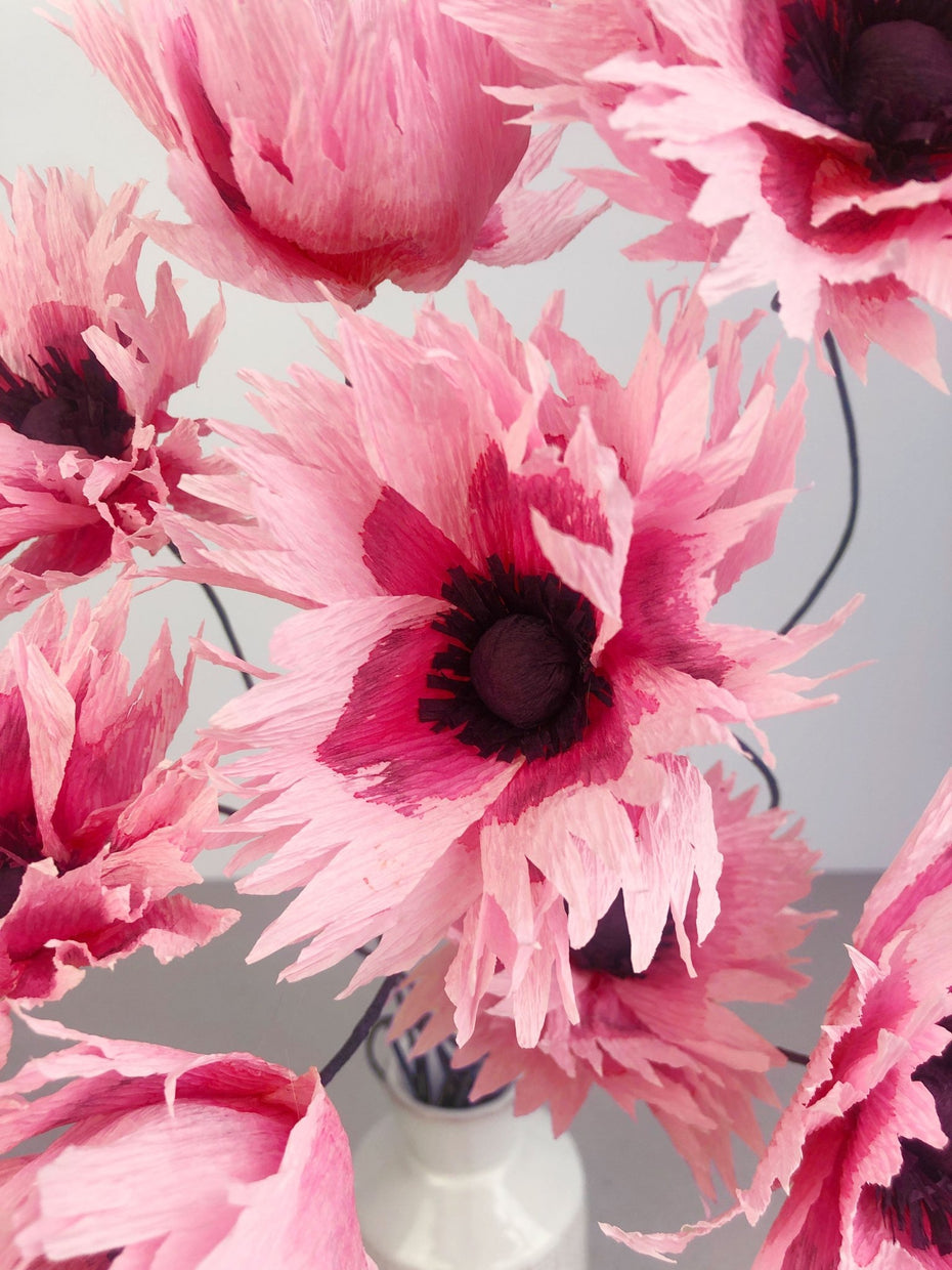 Small Ruffled Poppy New Blooms – Brazen Botany