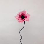 Ruffle Poppy Flower - Brazen Botany